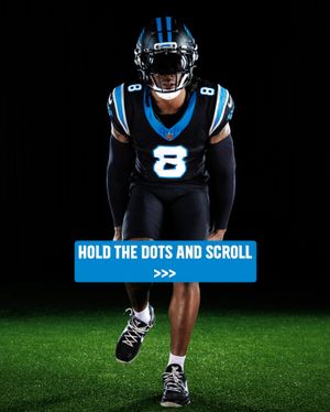 Image post by @panthers on Instagram