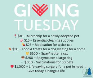 Image post by @whitmanpets on Instagram