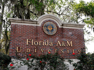 Image post by @famu_1887 on Instagram