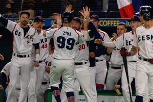 Image post by @BaseballCzech on Twitter