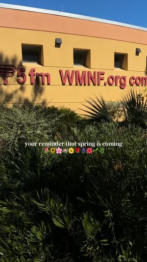 Image post by @WMNFCommunityRadio on Facebook