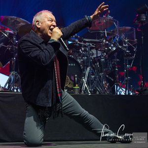 Image post by @lightboximages on Instagram