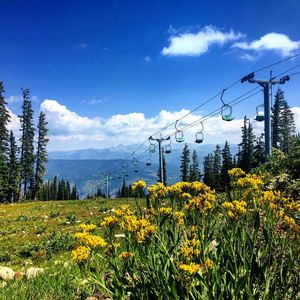 Image post by @beavercreek on Instagram