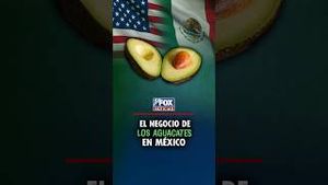 Video post by @foxnoticiasoficial on YouTube