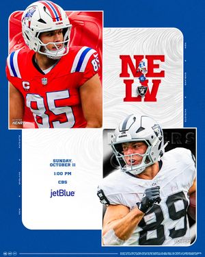 Image post by @patriots on Instagram