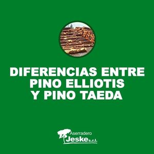 Image post by @aserraderojeske on Instagram