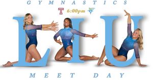 Image post by @liuwgymnastics on Instagram