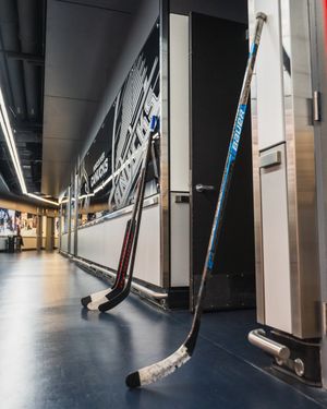 Image post by @Canucks on Twitter