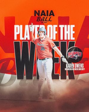 Image post by @naiaball on Instagram