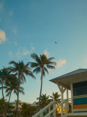 Image post by @zhs.visuals_ on Instagram