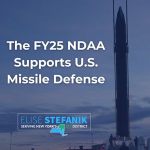 Image post by @RepStefanik on Twitter