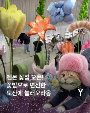 Image post by @ymagazine_official on Instagram