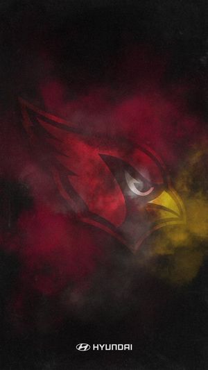 Image post by @AZCardinals on Twitter