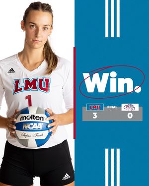 Image post by @lmulionswvb on Instagram