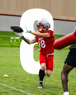 Image post by @unmlobofb on Instagram