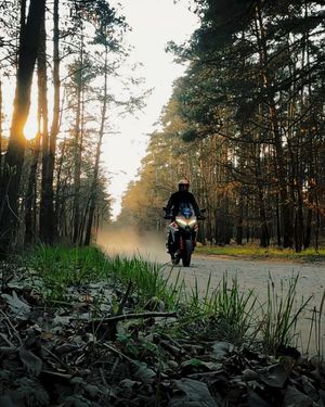 Image post by @motostylelife on Instagram