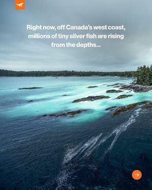 Image post by @sealegacy on Instagram