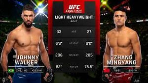 Video post by @UFC Brasil on YouTube