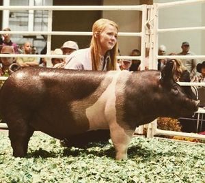 Image post by @american_royal on Instagram