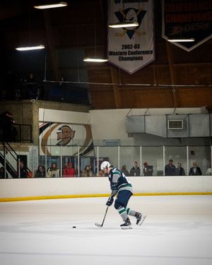 Image post by @the_rinks on Instagram