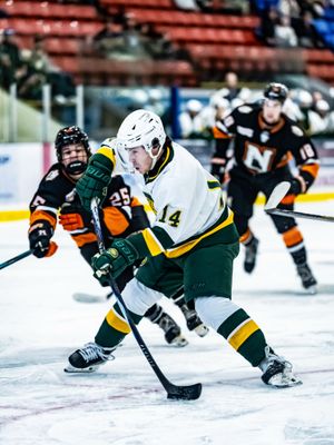 Image post by @bchlkings on Instagram