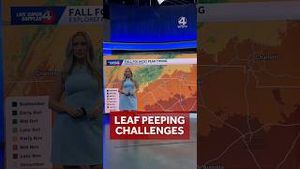 Video post by @wyffnews4 on YouTube