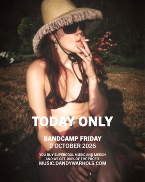 Image post by @thedandywarhols on Instagram