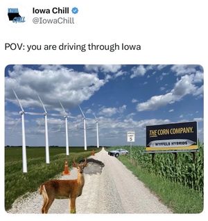Video post by @iowachill on TikTok