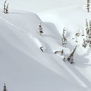 Image post by @whistlerblackcomb on Instagram
