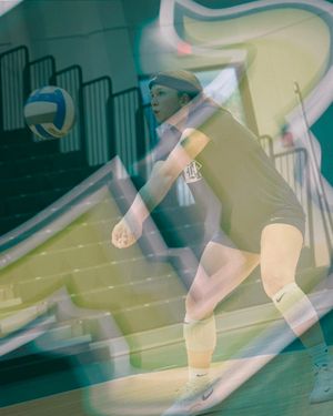 Image post by @ricevolleyball on Instagram