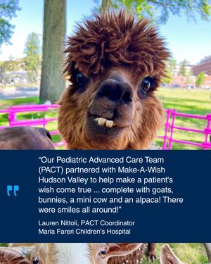 Image post by @wmchealth on Instagram