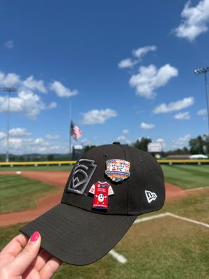 Image post by @littleleague on Instagram