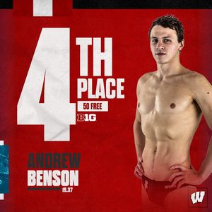 Image post by @badgerswimdive on Instagram