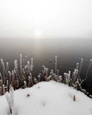 Image post by @cristan.nature.photography on Instagram
