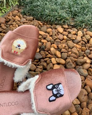 Image post by @pantudog on Instagram