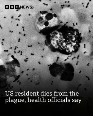 Image post by @bbcnews on Instagram