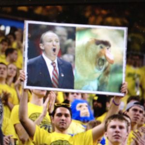 Image post by @umhoops on Instagram