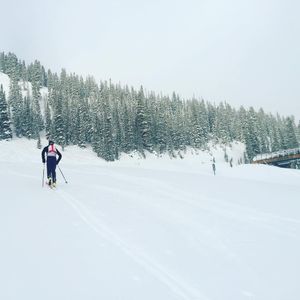 Image post by @skicrestedbutte on Instagram