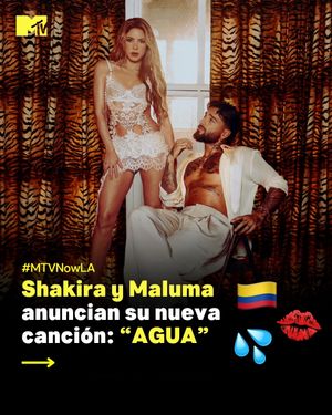 Image post by @mtvla on Instagram