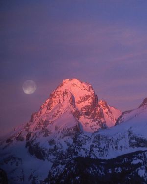Image post by @jimmychin on Instagram