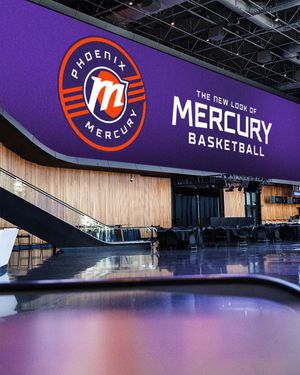 Video post by @phoenixmercury on TikTok