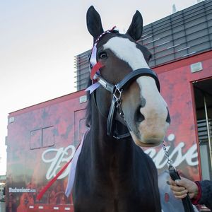 Image post by @xfinitymobilearena on Instagram