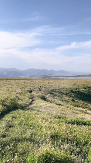 Video post by @filmbychloeg on TikTok