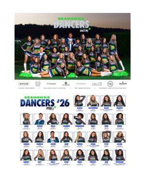Image post by @seahawksdancers on Instagram