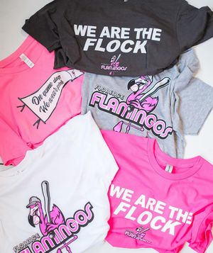 Image post by @floflamingos on Instagram