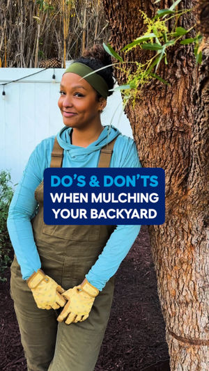 Video post by @lowes on Facebook