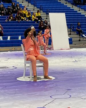 Image post by @wgisportofthearts on Instagram