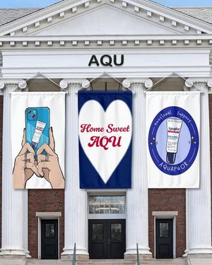 Image post by @aquaphor on Instagram