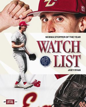 Image post by @bcbirdball on Instagram