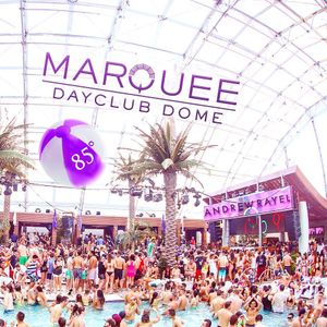 Image post by @marqueelv on Instagram